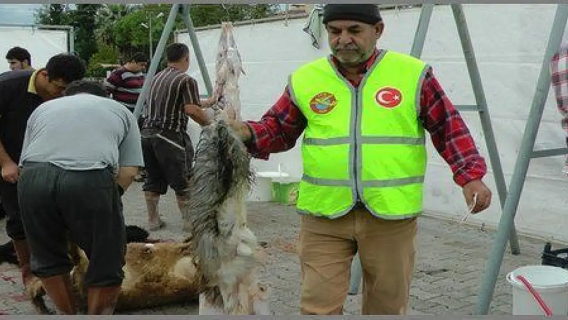 ÜÇ GÜNDE 19 BİN 345 ADET DERİ TOPLANDI