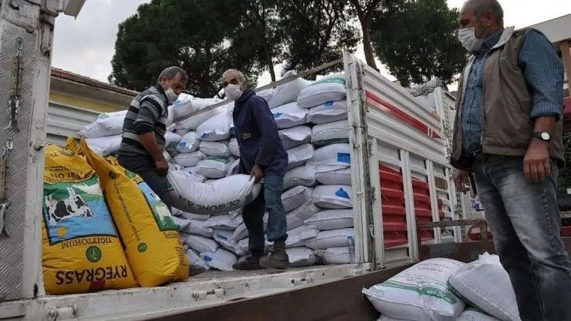 30 çiftçiye yüzde 75'i hibe destekli yem bitkisi dağıtıldı