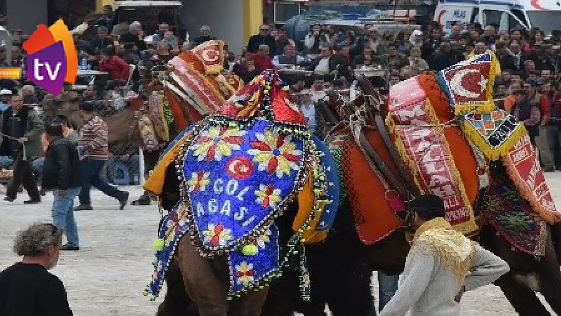 Develer Güllük'te güreşecek