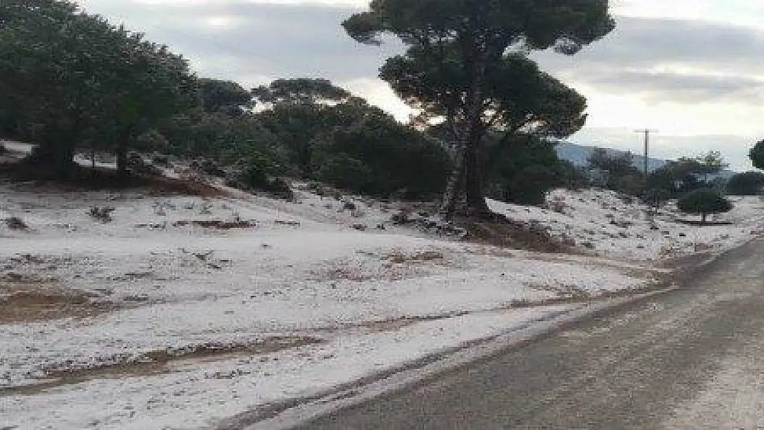 MİLAS'IN YÜKSEK KESİMLERİNE KAR YAĞDI...