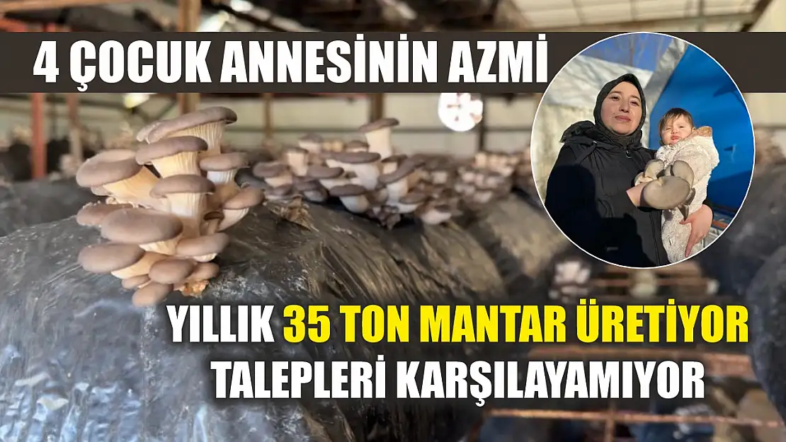 4 çocuk annesinin azmi: Yıllık 35 ton mantar üretiyor, talepleri karşılayamıyor