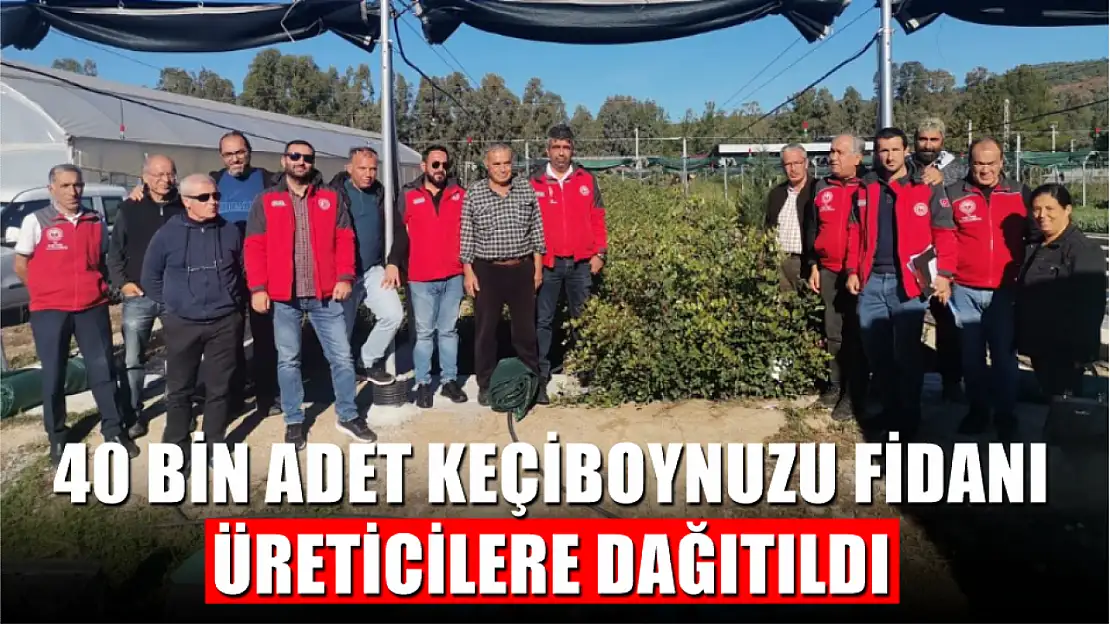 40 bin adet Keçiboynuzu Fidanı üreticilere dağıtıldı