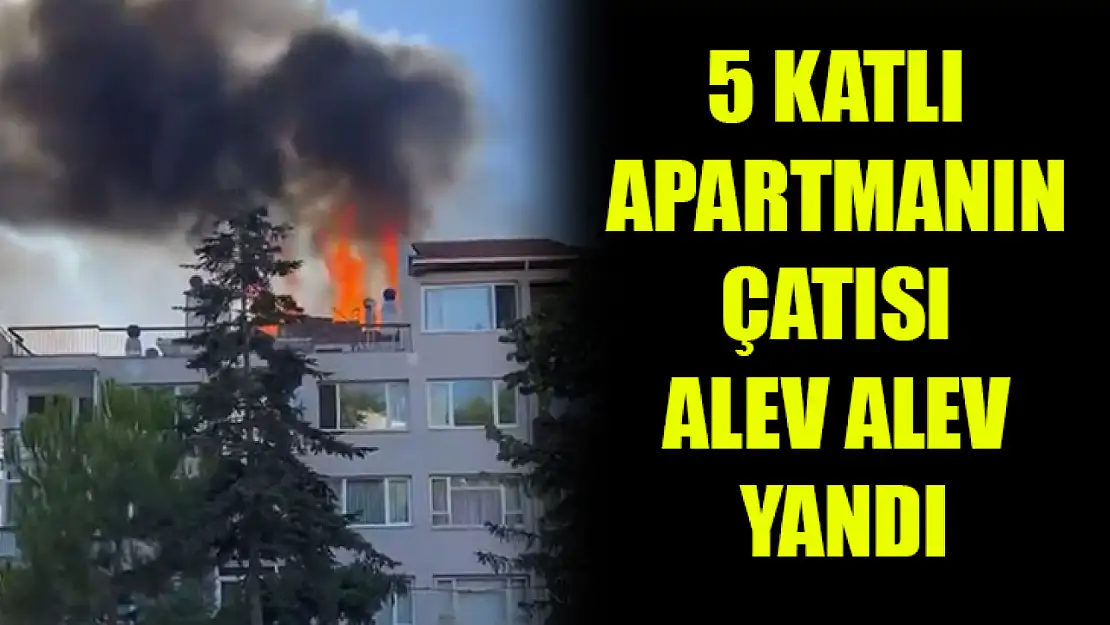 5 Katlı Apartmanın Çatısı Alev Alev Yandı