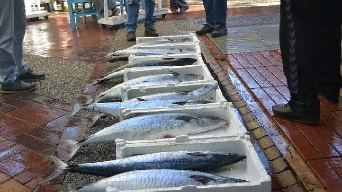 5 yıl sonra Fethiye Körfezi'nde yakalandı