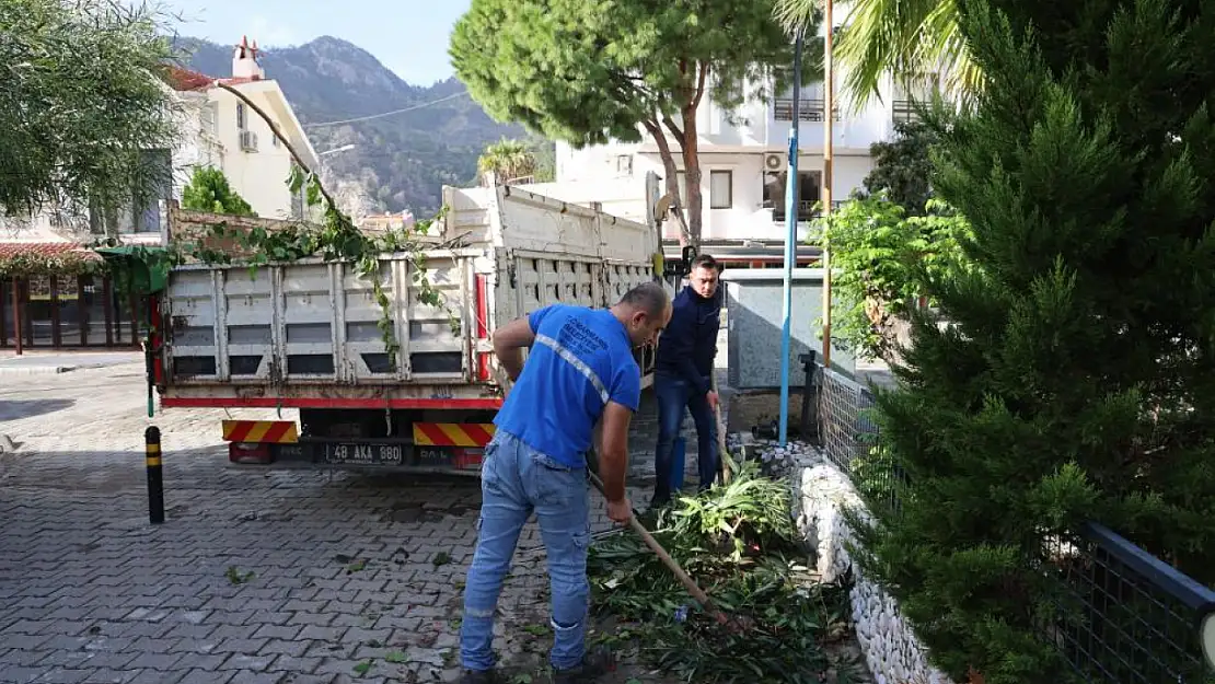 5 yılda 500 bin ton atık toplandı