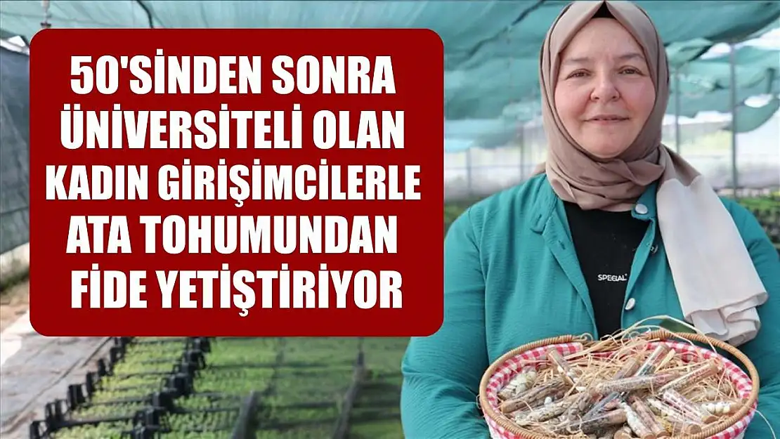 50'sinden sonra üniversiteli olan kadın girişimcilerle ata tohumundan fide yetiştiriyor