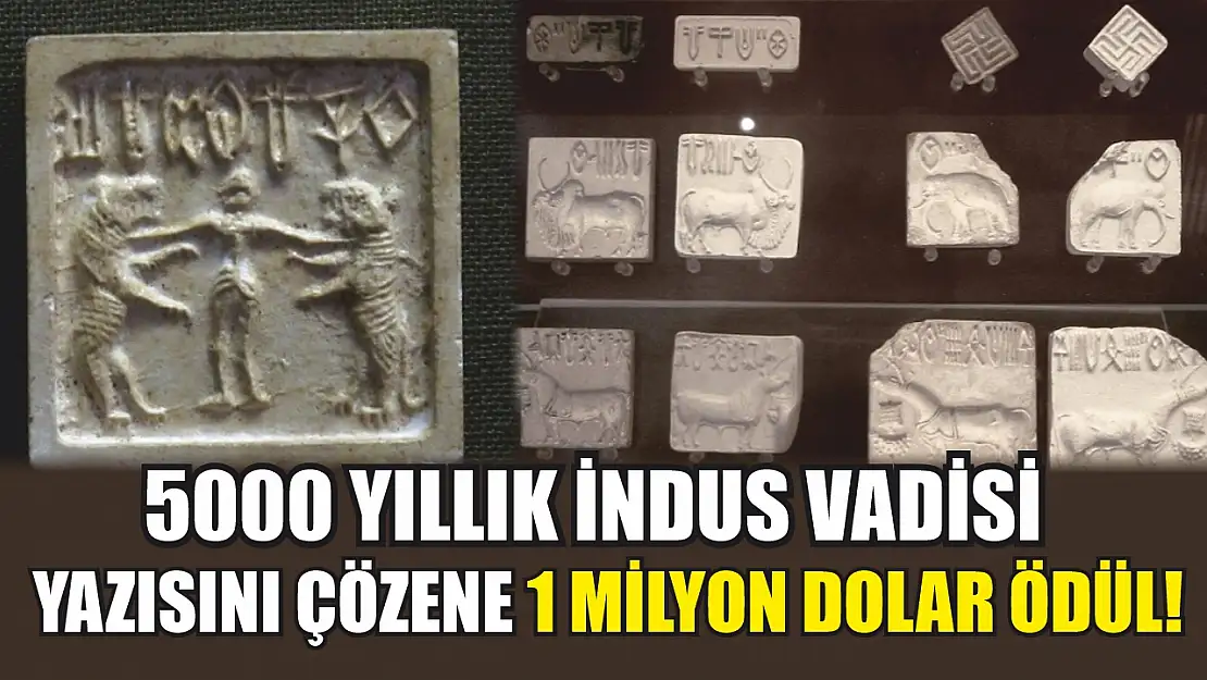 5000 yıllık İndus Vadisi yazısını çözene 1 milyon dolar ödül!