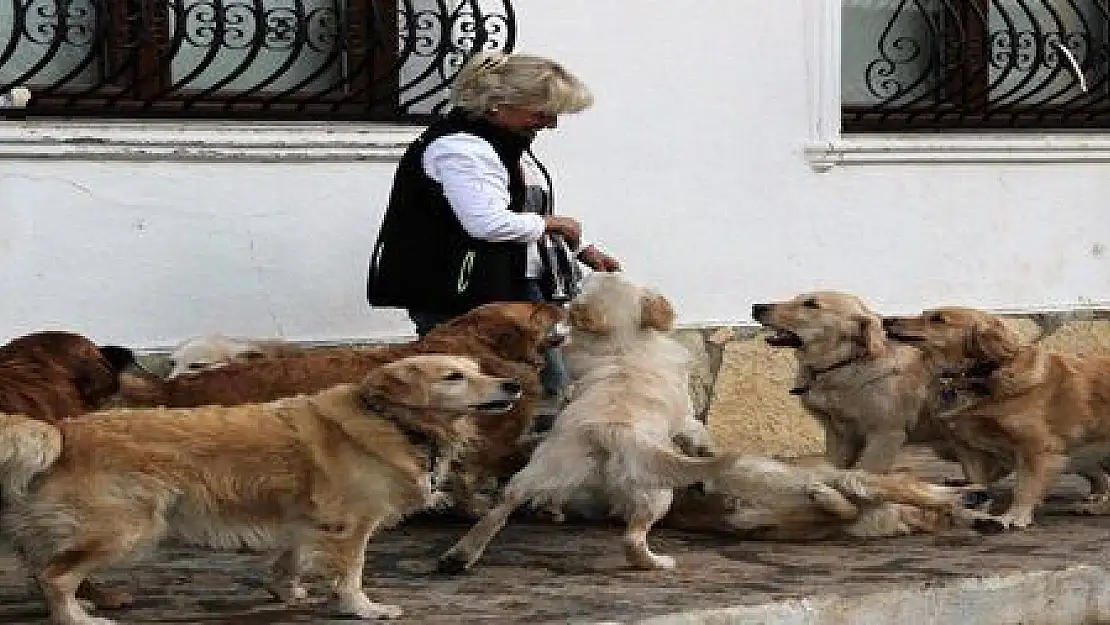 SOKAKTA KALAN 'GOLDEN ÇETESİ' LÜKS VİLLAYA YERLEŞTİ...