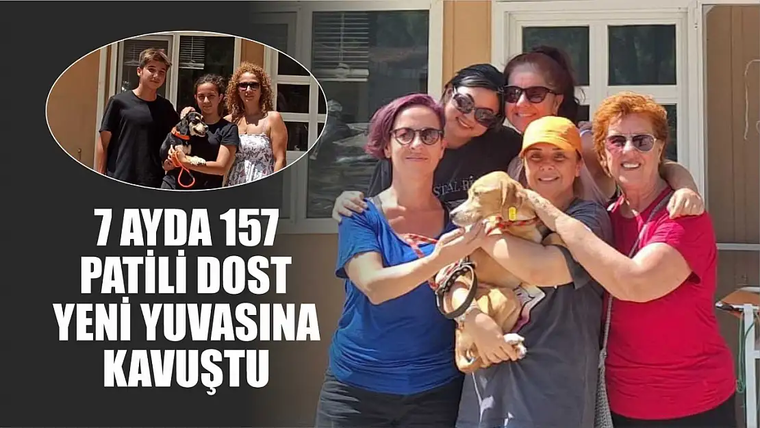 7 ayda 157 patili dost yeni yuvasına kavuştu