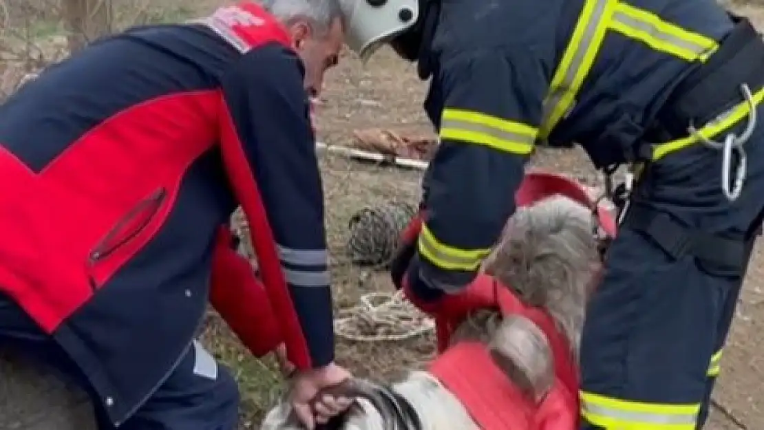 7 metrelik kuyuya düşen keçi için seferber oldular