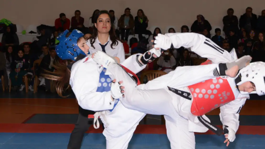 TAEKWONDO KIRAN KIRANA GEÇTİ...