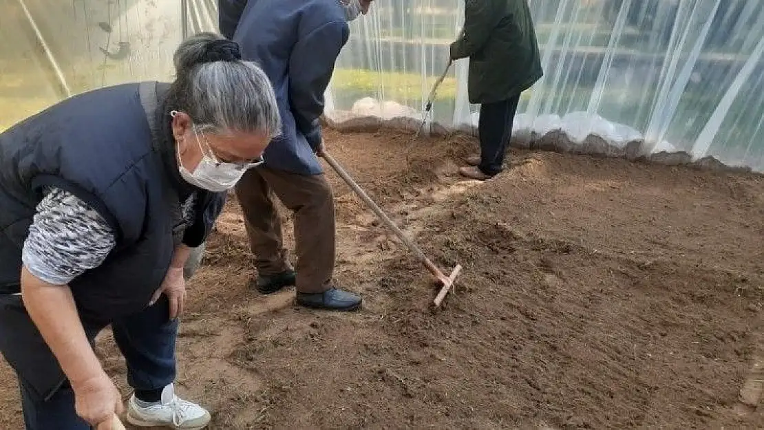 8 aydır dışarı çıkamayan huzurevi sakinleri için sera kuruldu