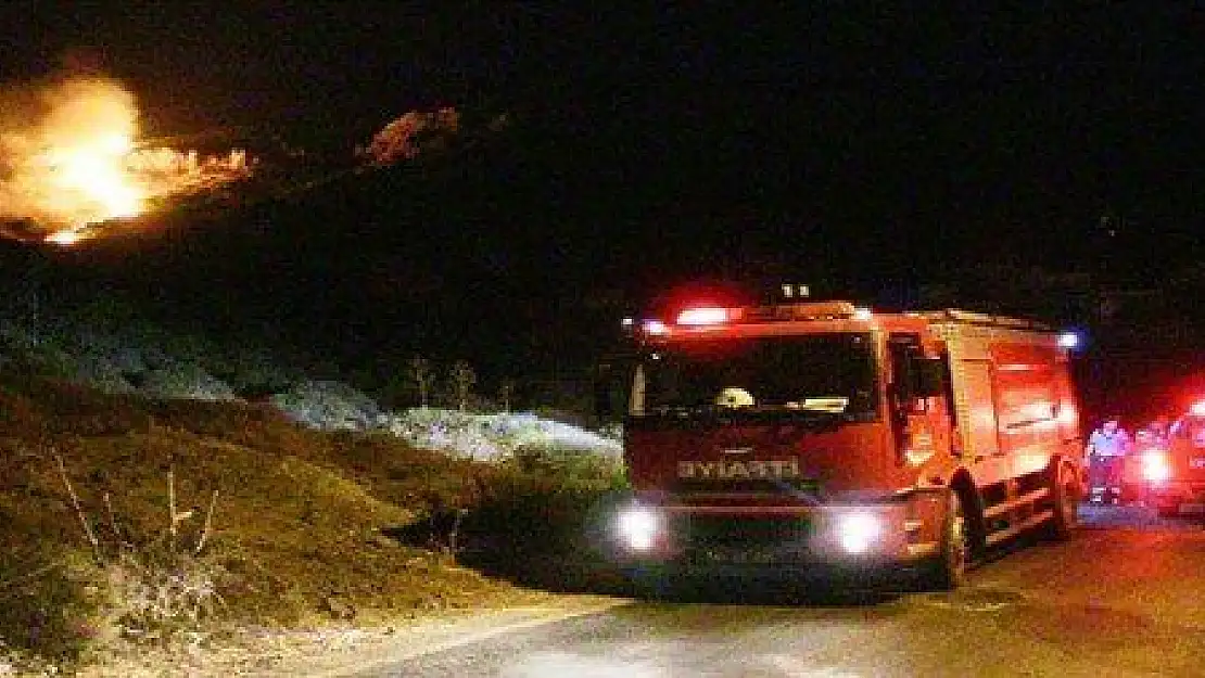 Bodrum'daki yangın evlere sıçramadan söndürüldü