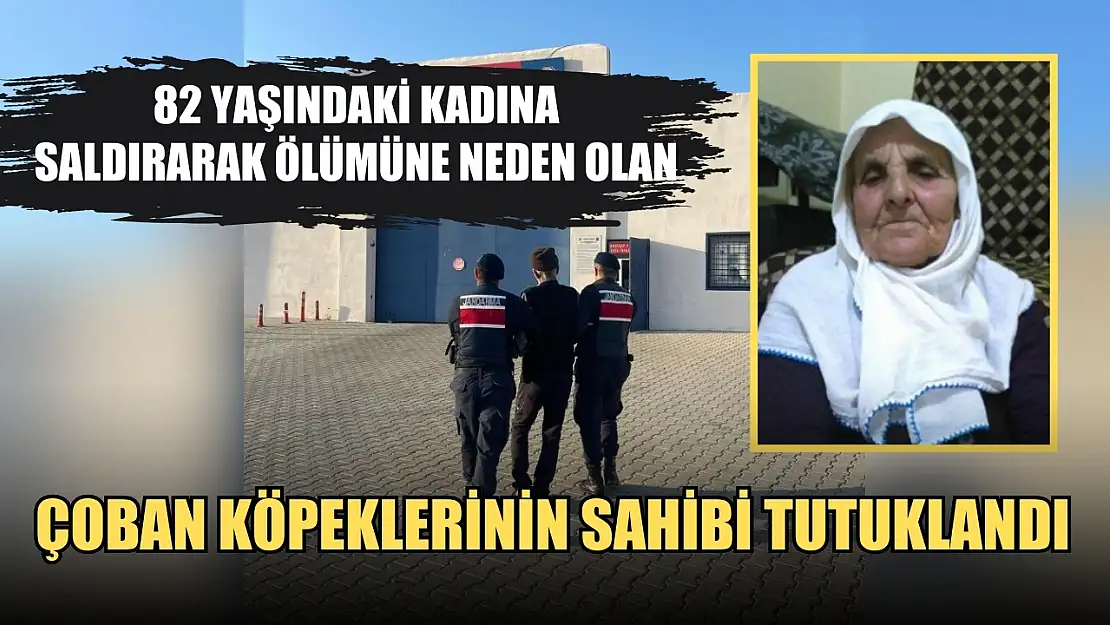 82 yaşındaki kadına saldırarak ölümüne neden olan çoban köpeklerinin sahibi tutuklandı