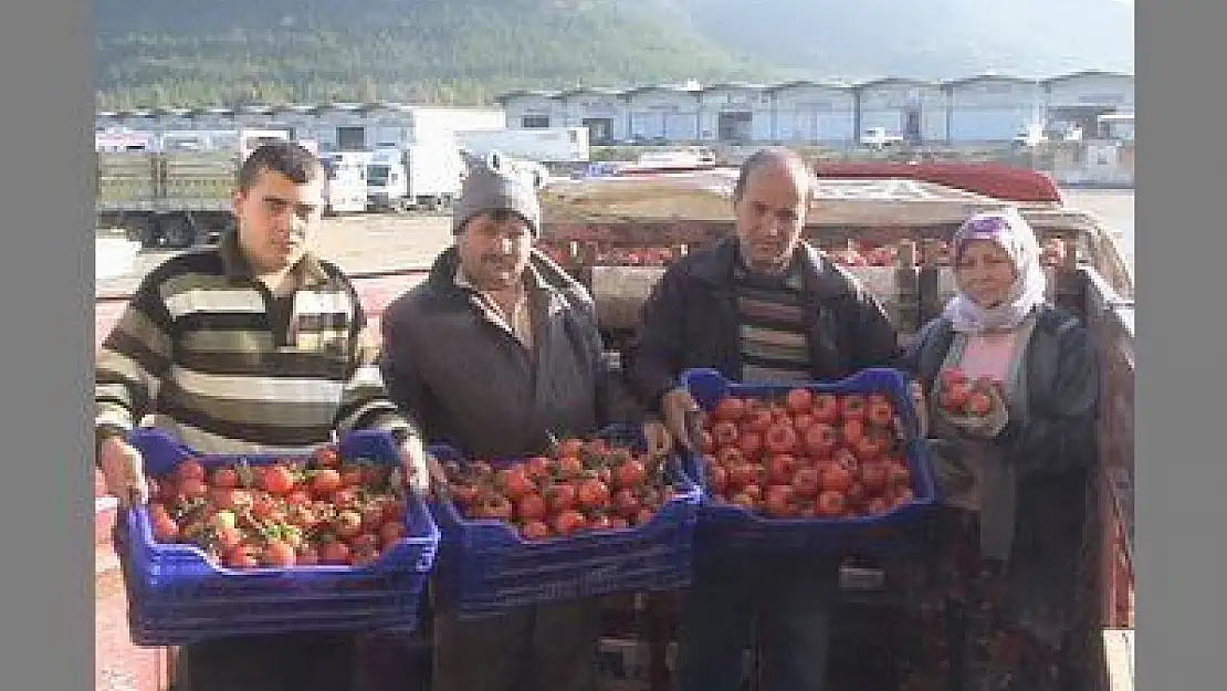 ÜRETİCİ, İHRACATIN AÇILMASINI BEKLİYOR