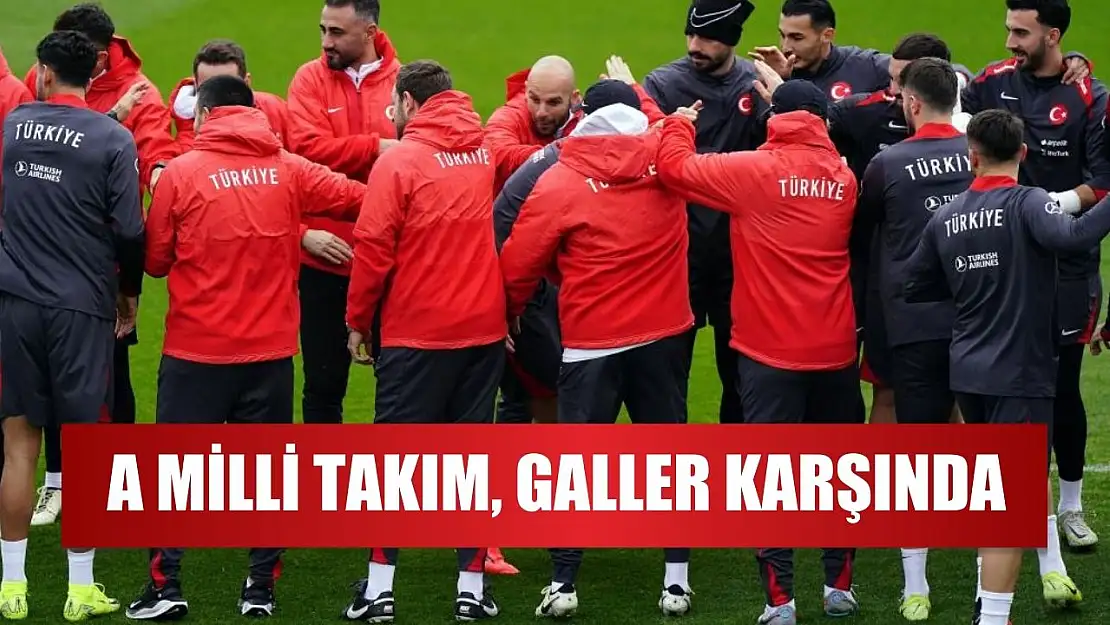 A Milli Takım, Galler karşında