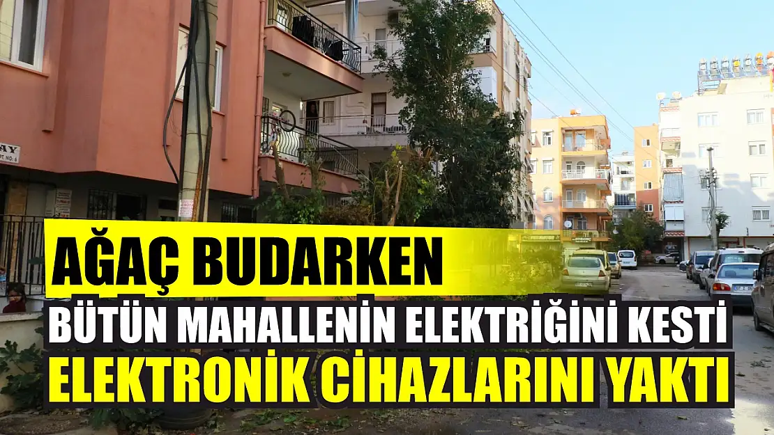 Ağaç budarken bütün mahallenin elektriğini kesti, elektronik cihazlarını yaktı