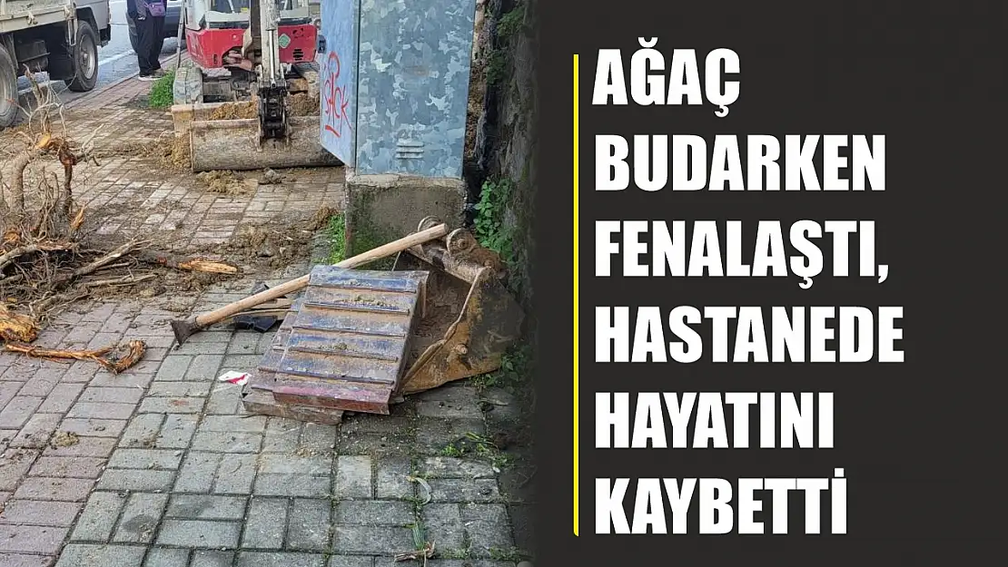 Ağaç budarken fenalaştı, hastanede hayatını kaybetti