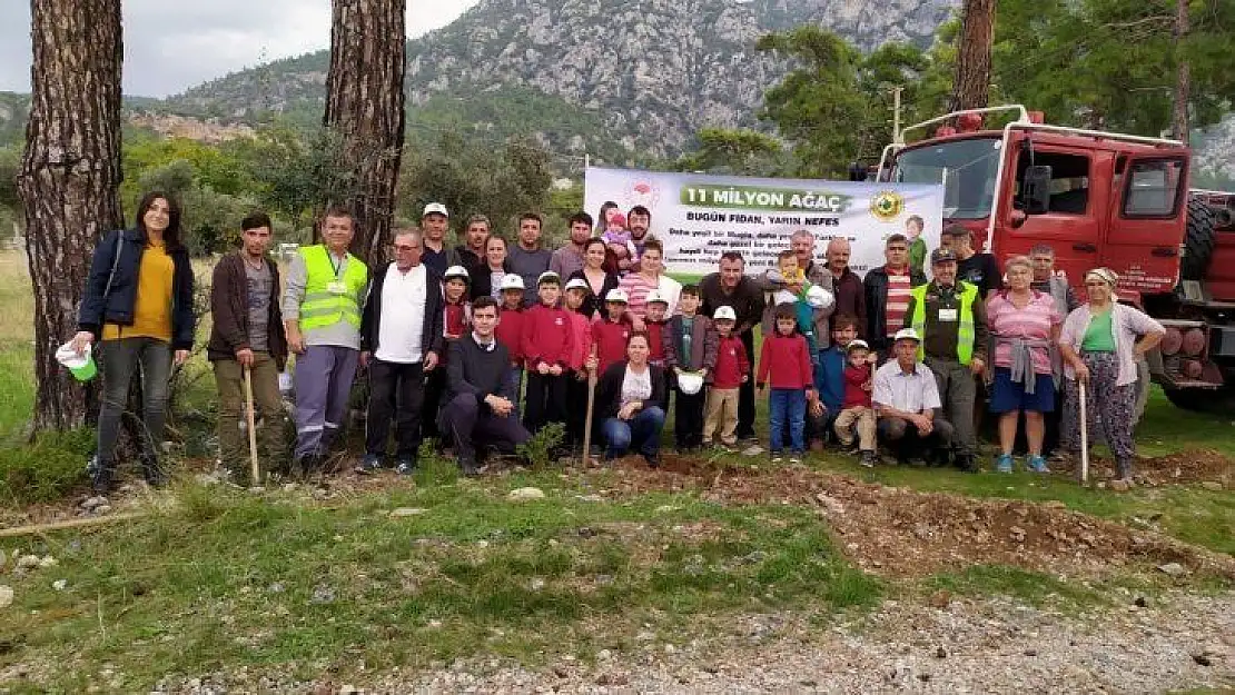 Ağaç katliamının yaşandığı Akbük'te fidan dikimi