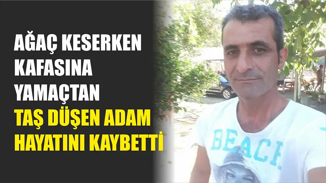 Ağaç keserken kafasına yamaçtan taş düşen adam hayatını kaybetti