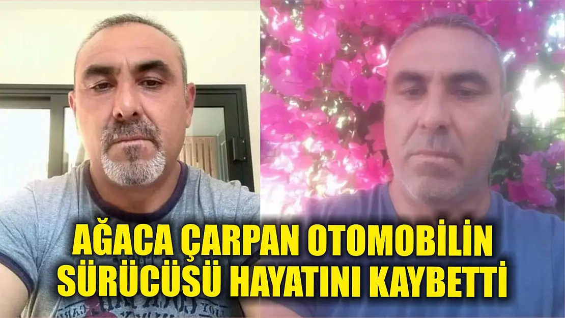 Ağaca çarpan otomobilin sürücüsü hayatını kaybetti