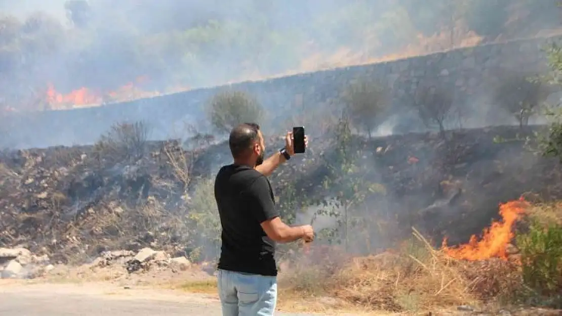 Ağaçlık alandaki yangın konteyner eve sıçradı