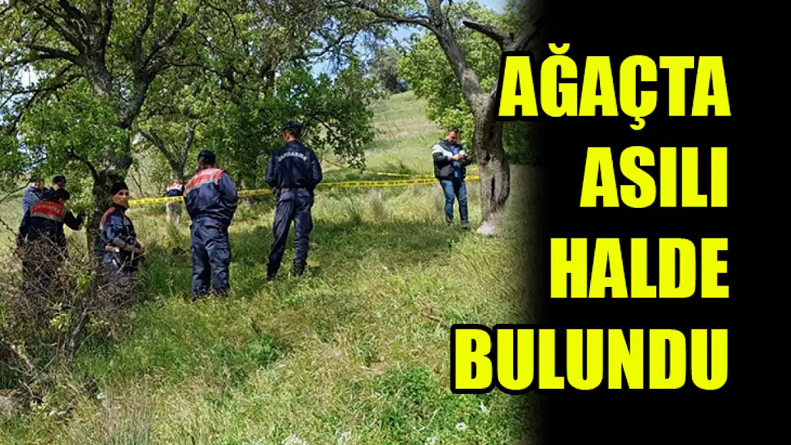 Ağaçta Asılı Halde Ölü Bulundu