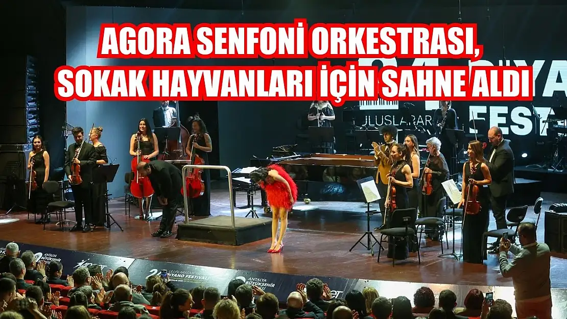 Agora Senfoni Orkestrası, sokak hayvanları için sahne aldı