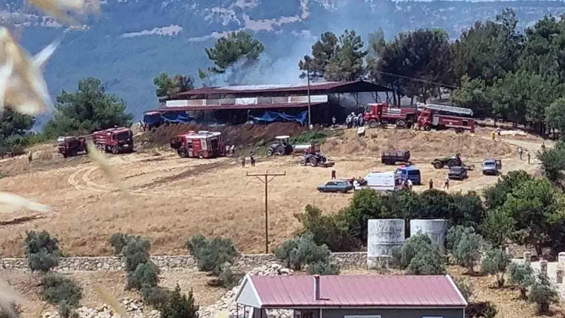 Ahır yangınında 2 büyükbaş hayvan telef oldu