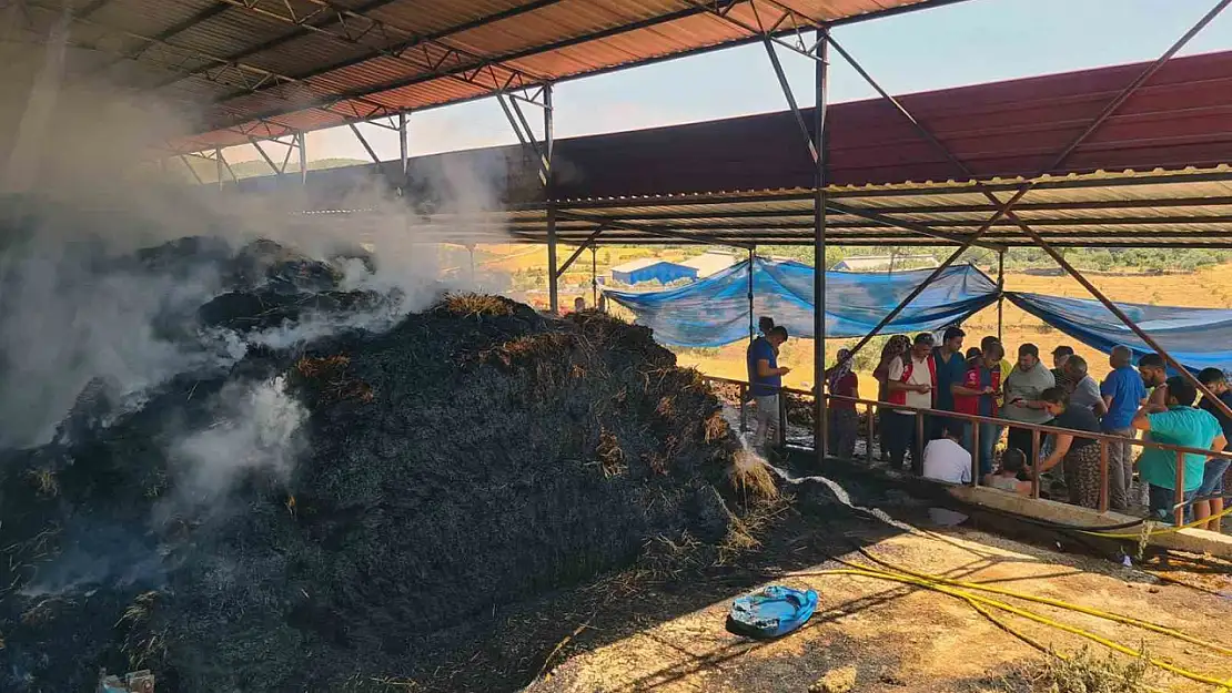 Ahır yangınında zarar büyük