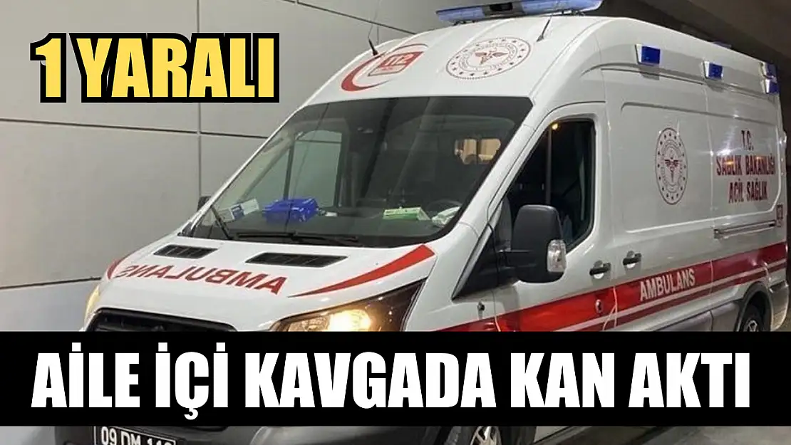 Aile içi kavgada kan aktı: 1 yaralı