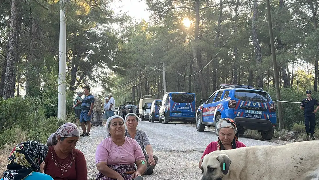 Akbelen Ormanı'na Sabaha Karşı Baskın