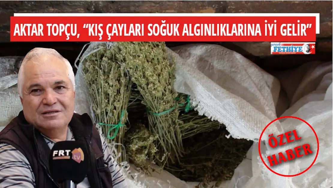 AKTAR TOPÇU, 'KIŞ ÇAYLARI SOĞUK ALGINLIKLARINA İYİ GELİR'