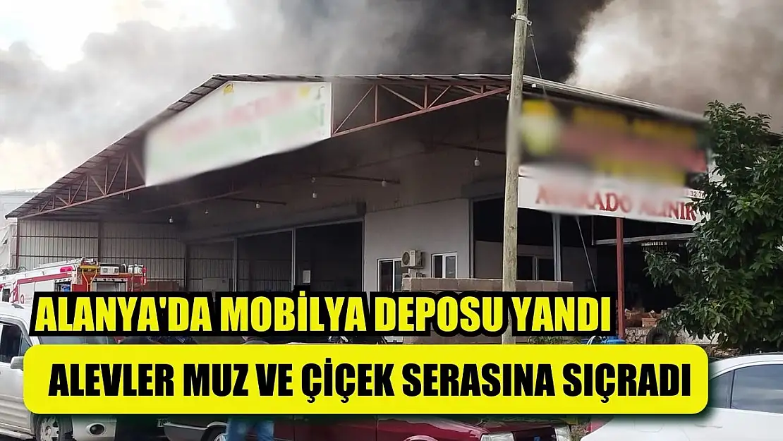 Alanya'da mobilya deposu yandı, alevler muz ve çiçek serasına sıçradı