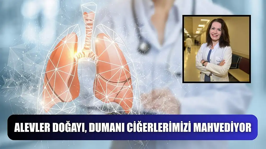 Alevler doğayı, dumanı ciğerlerimizi mahvediyor