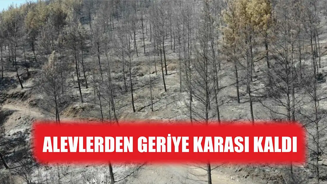 Alevlerden geriye karası kaldı