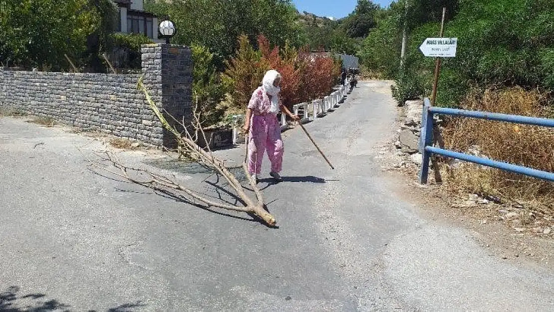 Aliye teyze, yolu yine kapattı