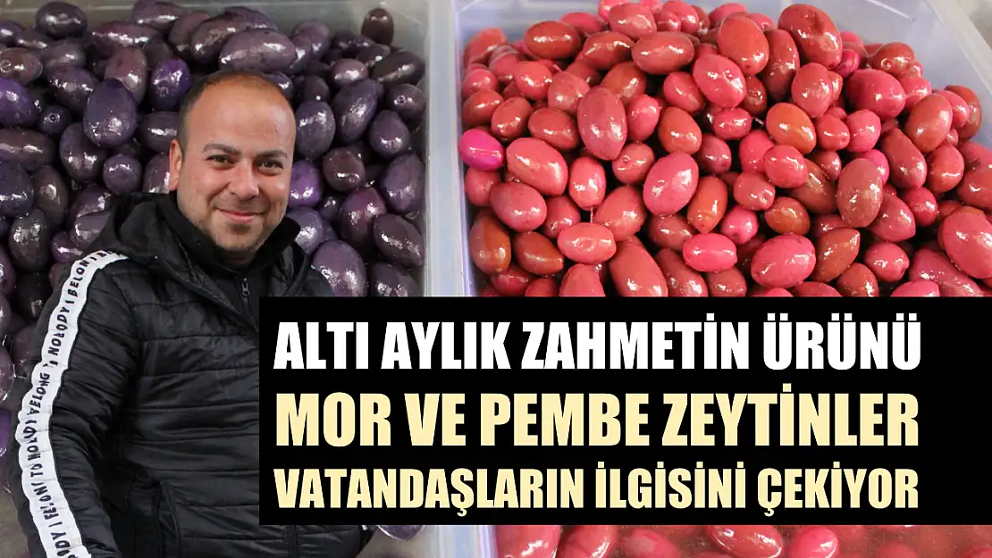 Altı aylık zahmetin ürünü mor ve pembe zeytinler vatandaşların ilgisini çekiyor