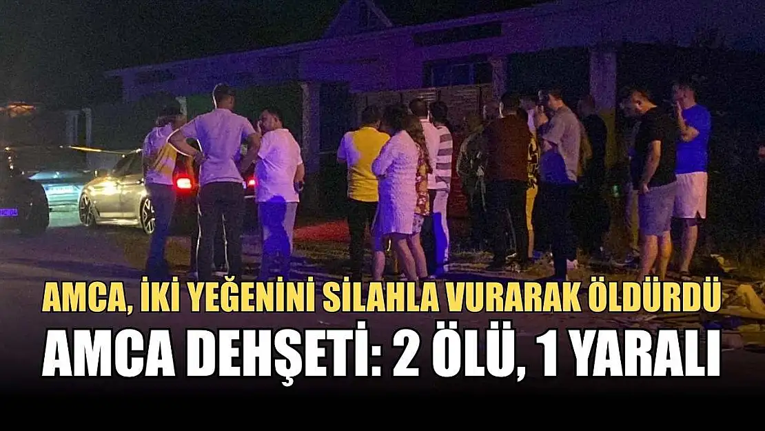 Amca dehşeti: 2 ölü, 1 yaralı