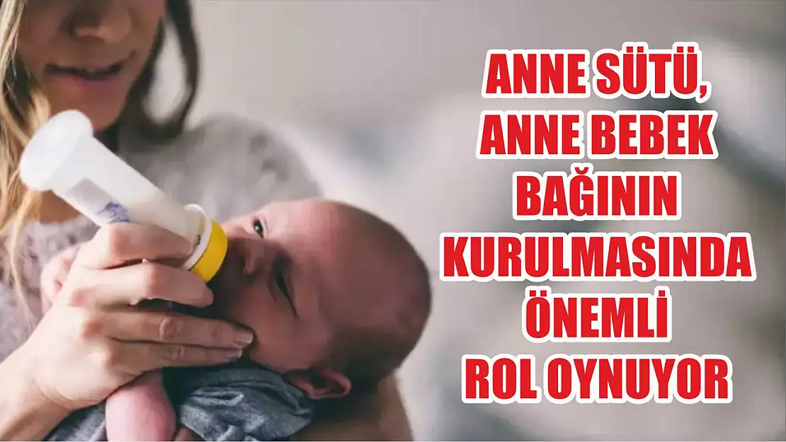 Anne sütü, anne bebek bağının kurulmasında önemli rol oynuyor