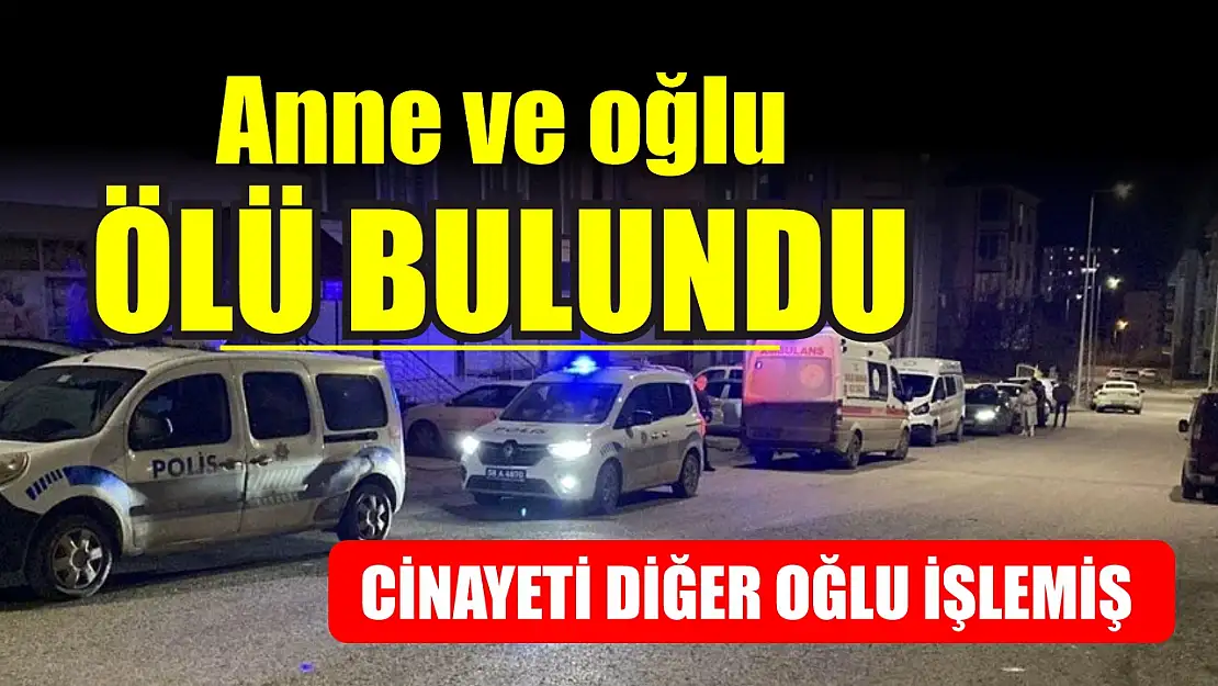 Anne ve oğlu evde ölü bulunmuştu: Cinayeti diğer oğlu işlemiş