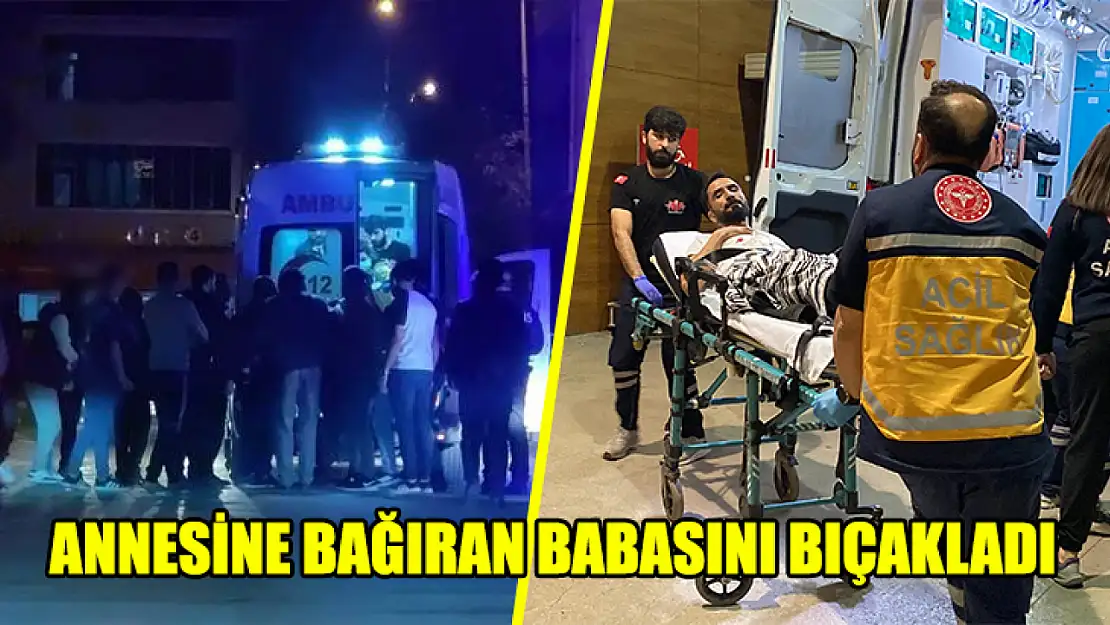 Annesine Bağıran Babasını Bıçakladı