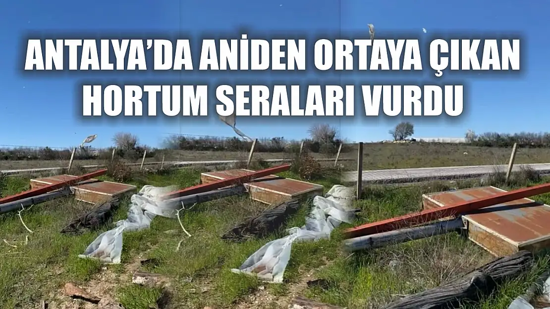 Antalya'da aniden ortaya çıkan hortum seraları vurdu