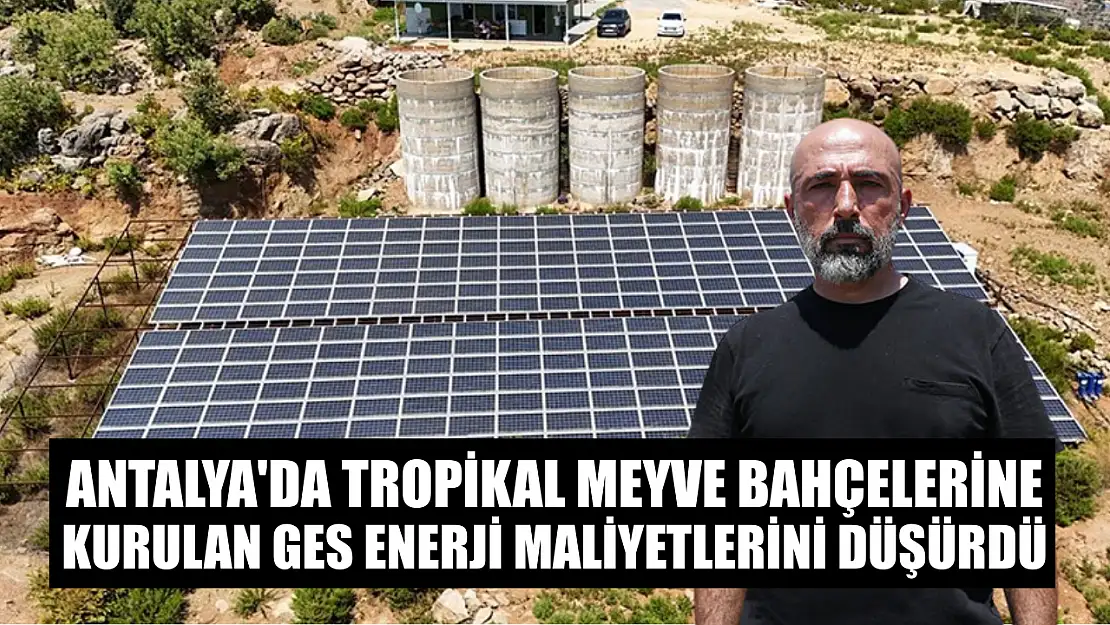 Antalya'da tropikal meyve bahçelerine kurulan GES enerji maliyetlerini düşürdü
