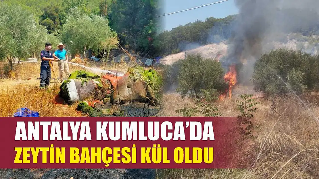 Antalya Kumluca'da Zeytin Bahçesi Kül Oldu
