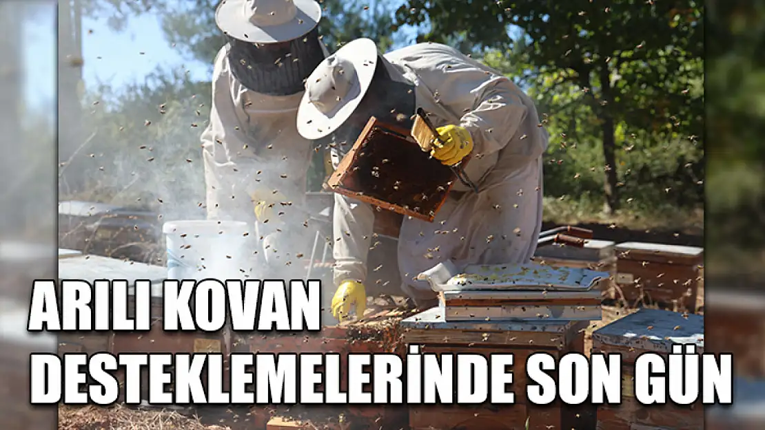 Arılı kovan desteklemelerinde son gün