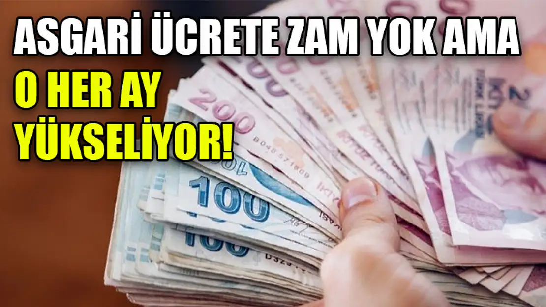 Asgari ücrete zam yok ama o her ay yükseliyor!