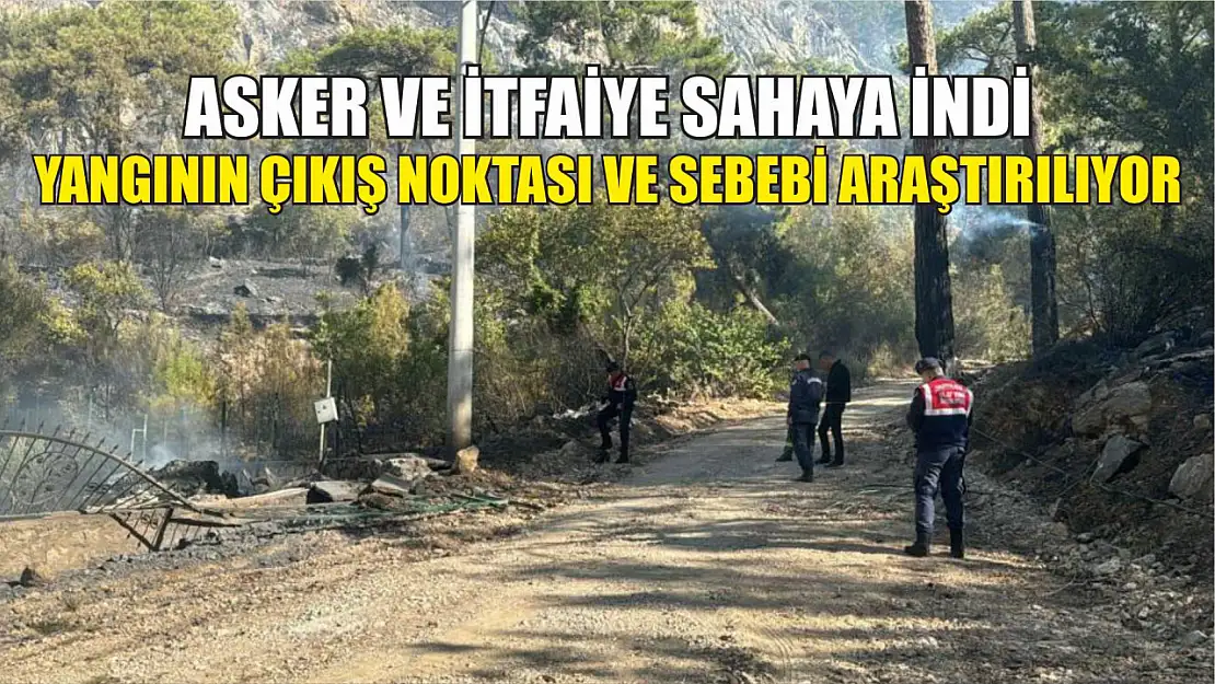 Asker ve itfaiye sahaya indi, yangının çıkış noktası ve sebebi araştırılıyor