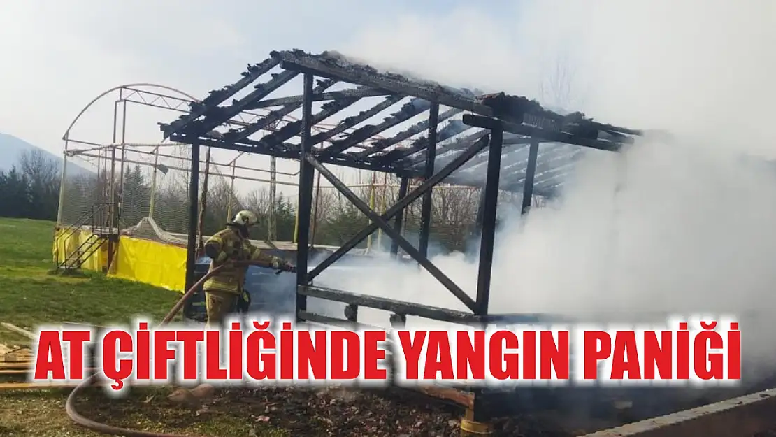 At çiftliğinde yangın paniği