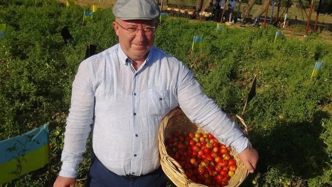 Ata tohumları Menteşe Belediyesine ödül getirdi